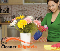 domestic_cleaning1