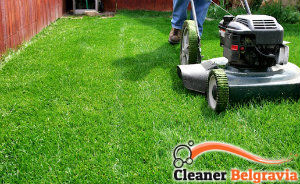 lawn-mowing-services-belgravia