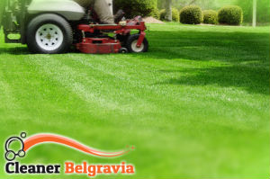 grass-cutting-belgravia