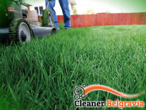 grass-cutting-services-belgravia