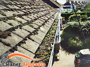 gutter-cleaning-belgravia